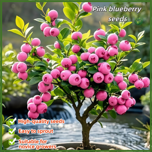 Easy To Grow Pink Blueberry Seeds for Planting High Yield Suitable for Novice Growers Green Fruit Seeds for Year-round Balcony Potted Plants and Small Courtyard Fruit Cultivation High-quality Seeds