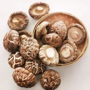 เห็ดหอมลายจับโบ้AAA6.香菇เห็ด กลิ่นหอมเห็ดเข้มข้นเนื้อนุ่มการอบแห้งแบบประดิษฐ์