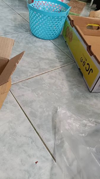 Buyer review video 2