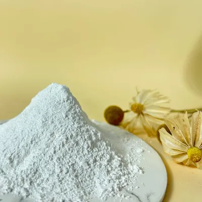 5kg Plaster of Paris Fine Casting Powder Gypsum DIY Crafts Plaster of Paris for Modelling High Strength High Whiteness