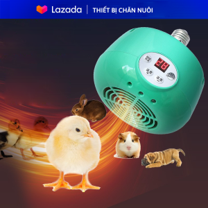 Đèn sưởi 3 chế độ cho gàheo gia xúc gia cầm
