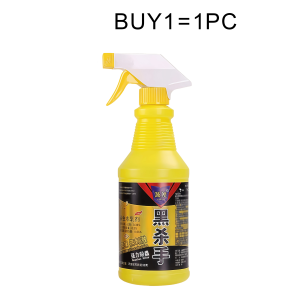 BUY1TAKE2 Fly Killer Spray Efficiently Household Fly Killer Odorless Hygienic Killing Spray Mild and non-irritating fly spray 500ML