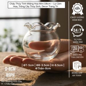 Chậu Thủy Tinh Tròn Bầu Miệng Rộng Đường Kính D13cm Trồng Cây Trang Trí
