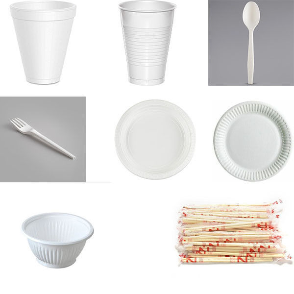 Disposable Party Paper Plates/Plastic Plates/Plastic Fork/Plastic Spoon ...