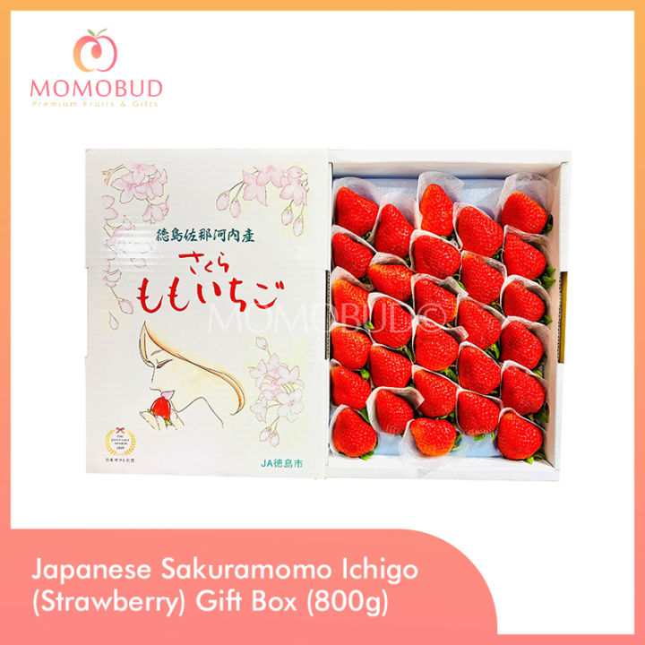 Japanese Sakuramomo Ichigo (Strawberry) Gift Box (800g)