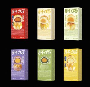 XuanMa Salted Egg Yolk Pastry - 6 Flavors Combination Pastry Snack Afternoon Tea Dessert