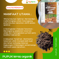 Pupuk Khusus Tanaman Jahe / Pupuk Pembesar Umbi Jahe / Pupuk Untuk Tanaman Jahe / Pupuk Jahe Umbi Besar / Pupuk Jahe Merah / Pupuk Penyubur Tanaman Jahe. 