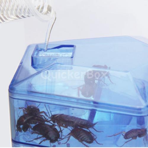New Cockroach Machine New Cockroach House Roacher สุดยอดนวัตกรรมดักจับแมลงสาบ ได้ผล 100% ...