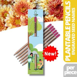 Ecò Plantable Pencil (Sprout) Flower Herb & Vegetable Seeds Eco-Friendly Organic Sunflower Daisy Flowers