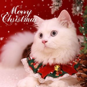 AimayaPet COD NEW! ชุดคริสต์มาส ปลอกคอแมว ปลอกคอแมวและสุนัข ผ้าพันคอ ลูกไม้ สำหรับสัตว์เลี้ยง สุนัข แมว