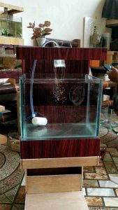 akuarium minimalis display kabinet mewah harga murah akuarium ikan hias