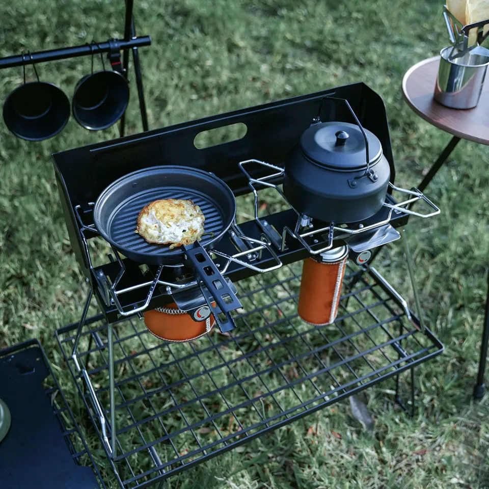 Camping Stove with 2 Burners Foldable Outdoor Storage Bag Dual Gas