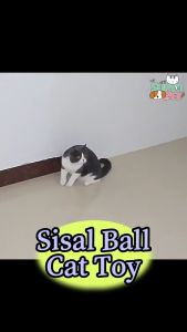 Pet Toy Ball for Cat Dog Pet Fun Toys Bouncy Rainbow Ball Sisal Ball Dog Chewing Bola Mainan Kucing