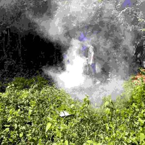 obat fogging