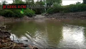 Jump Frog Geol 4 cm: Umpan Casting Gabus Mini