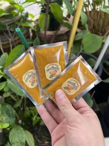 กิน ทา หน้าใส ผงขมิ้น ผงขมิ้นชัน ผงขมิ้นแท้ 100% ซองเล็ก บรรจุ 10 กรัม 1 ซอง สมุนไพรพื้นบ้าน ทำอาหาร ทาตัว