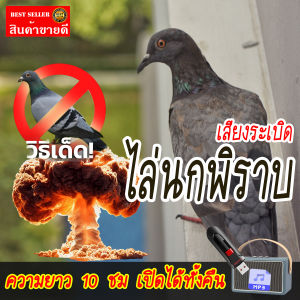 เสียงระเบิด เสียงดัง เสียงไล่นกพิราบ และทุกชนิด แฟลชไดร์ฟ USB สำหรับเปิด ลองแล้วชัวร์ 100%  เสียงดี