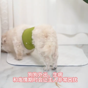 Washable Male Dog Diapers With Replaceable Inserts Snug Permeable Diapers for Indoor or Outdoor Activity