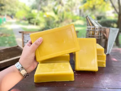 Beeswax Grade A 500 กรัม/ Beeswax Food Grade / ไขผึ้งแท้ธรรมชาติ 100% /ทำห่ออาหาร /ทำเครื่องสำอาง