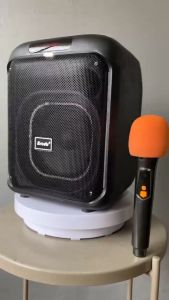 BTS-2102 RGB Flame Lighting Effect Dynamic Bluetooth Karaoke speaker bluetooth with mic BTS KTS