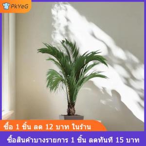 [COD] PkYeG สติกเกอร์ติดผนังศิลปะกระถางต้นไม้จำลองสำหรับตกแต่งห้องนอนห้องนั่งเล่น