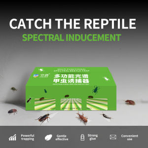 1 Set KongXiao Multi-Functional Spectrum Beetle Trap Kit (Bait + Sticky Board) - Effective for Indoor/Outdoor Captures Various Beetle Species