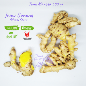Temu Mangga Segar 500gr Obat Tradisional - Organik dari Gunung Kidul