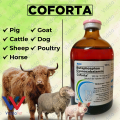 Coforta 100ml – Premium Health Supplement for Dogs, Cats, and More. 