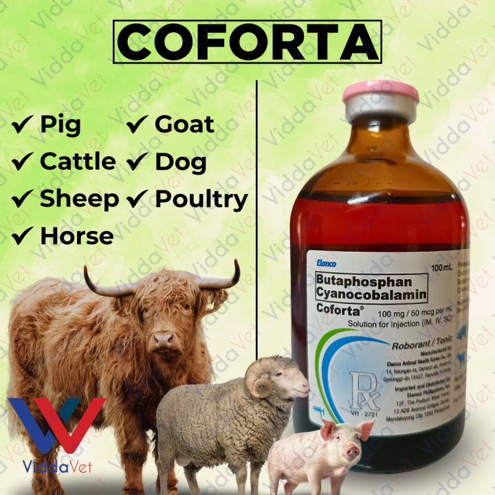 Coforta%20100ml%20%E2%80%93%20Premium%20Health%20Supplement%20for%20Dogs,%20Cats,%20and%20More%20-%20Image%205