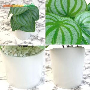 Aneka Tanaman Hias Mini Peperomia Aglonema Calladium Plastik Artificial Pot Bulat Putih Keramik Hiasan Meja Kantor Hiasan Meja Kerja