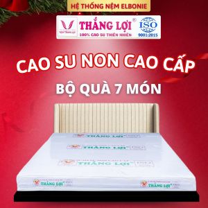 NỆM TẠI NHÀ MÁY SẢN XUẤT CAO SU NON CAO CẤP THẮNG LỢI CHÍNH HÃNG - BẢO HÀNH 15 NĂM - QUÀ TẶNG 7 MÓN - ĐƯỢC SỬ DỤNG THỬ 30 NGÀY ĐẦU