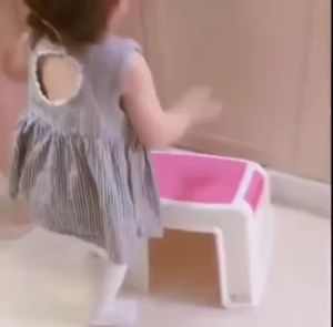 2-Step Kids Stool – Thick Plastic Toddler Step Stool for Toilet & Potty Training (Tangga Kanak-Kanak)