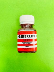 Hormon Untuk Pertumbuhan Bunga dan Buah GIBERELIN Murni kemasan 60 ml dari Mitra Agro Sukses F