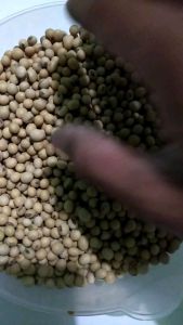 kedelai super isi 50 gram minimal beli 2 bungkus