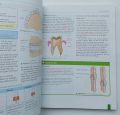 หนังสือ แบบเรียน ชีววิทยา มัธยมปลาย ภาษาอังกฤษ Cambridge IGCSE Biology 444Page. 