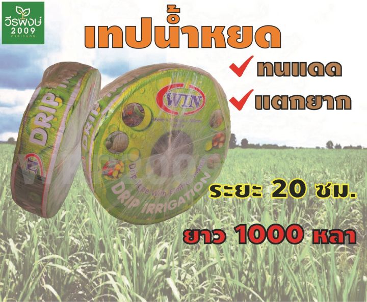 เทปน้ำหยด ตราวิน WIN ระยะห่าง 20 ซม. 1000 หลา