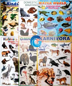 Paket 6 Poster Edukasi Anak Belajar Binatang Poster Dinding Edukasi Pendidikan Anak Isi 6 Pcs