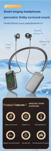 Wireless Headset Graphene Diaphragm K Song Earrings In-ear Fashion High Definition Digital Display