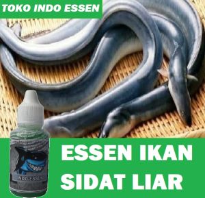Essen Ikan Sidat Liar Siap Pakai Isi 30ml