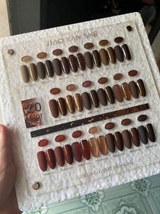 Set sơn gel tone nâu cafe Jiao Yan She 20 màu - Sơn móng tay làm nail