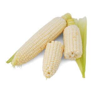 Snow White Super Sweet Corn
