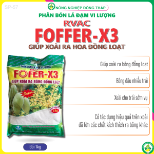 Phân Bón Lá Đạm Vi Lượng RVAC FOFER-X3 (gói 1kg)