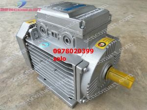 ĐỘNG CƠ ĐIỆN TOÀN PHÁT 22KW TỐC CHẬM