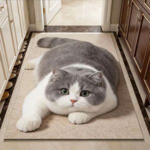 BHYJGD Diatomaceous Earth 3D Cat Floor Mat Realistic 40×60CM Bathroom Carpet Creativity Non-slip Bedroom Door Rug Home Decor