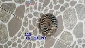 Sàng ép cám viên trục liền s160 sàng 5ly