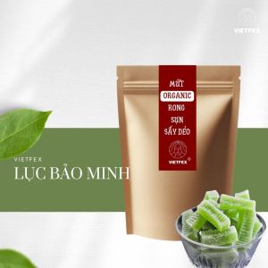 Mứt Rong Sụn Sấy Dẻo Lục Bảo Minh Thương Hiệu Vietfex