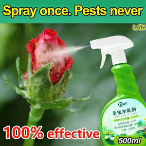 Plant insecticide spray 500ml Pest Control for vegetablesBug Spray Aphids pesticide for plants