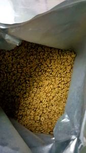 อาหารสำเร็จรูปชนิดเม็ด ROYAL CANIN FIT โรยัง คานิน ฟิต ชนิดแบบ แบ่งขาย (แบ่งขายถุงละ 1กิโลกรัม) สินค้าหมด อายุปี2026