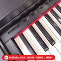Đàn Piano Điện Yamaha CLP 560 + Tặng Kèm Ghế Piano Yamaha Cao Cấp. 