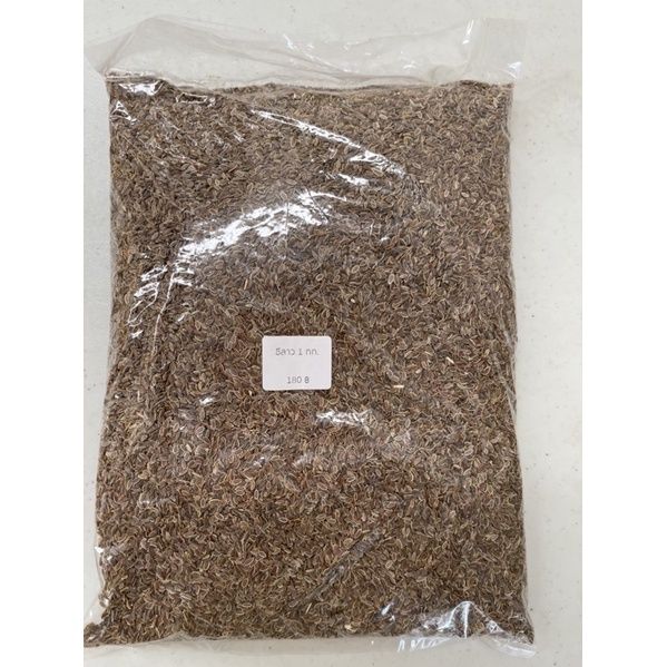 เมล็ดผักชีลาว 1 กิโลกรัม งอกดี ทนโรค